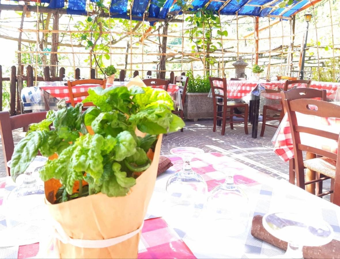 Agriturismo Il Pettirosso Agerola Extérieur photo