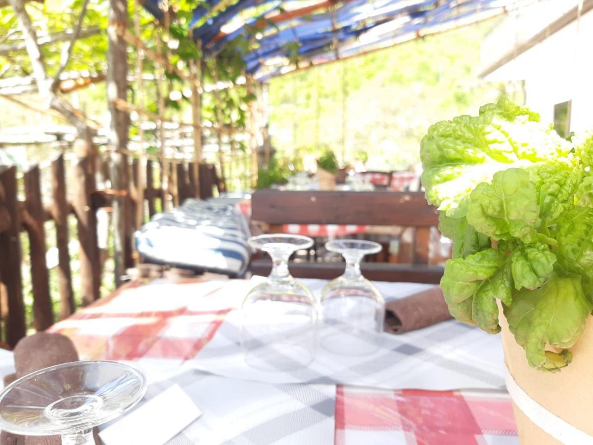 Agriturismo Il Pettirosso Agerola Extérieur photo